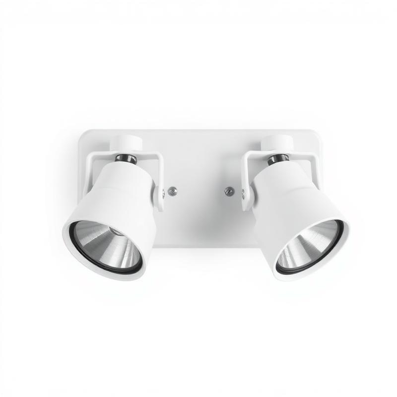 Twin-Spot Emergency Light